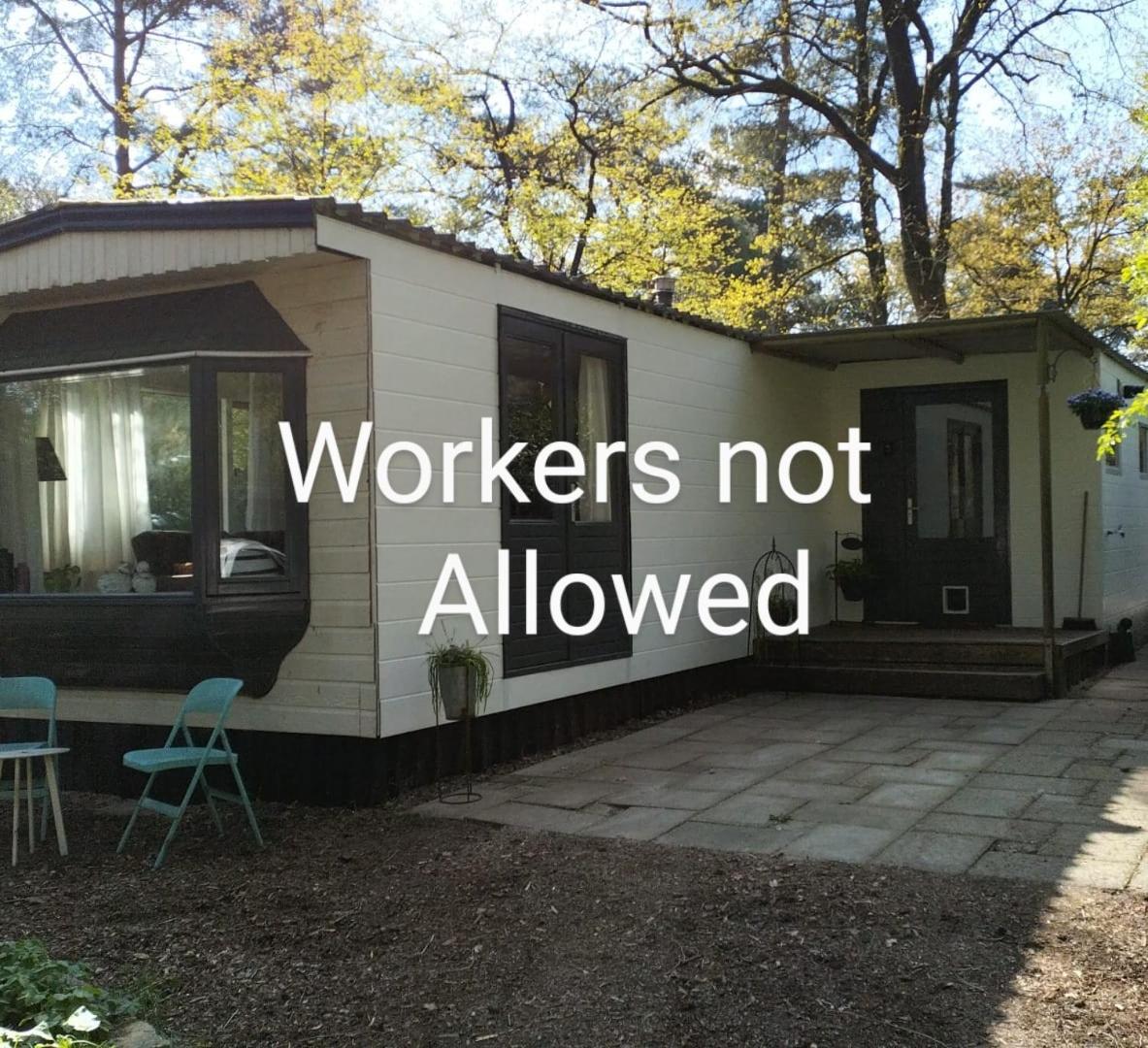 Wulft 47 Zonnig gezellig 6p chalet met zwembad in bosrijke omgeving op Familie Camping de Vossenburcht IJhorst Buitenkant foto